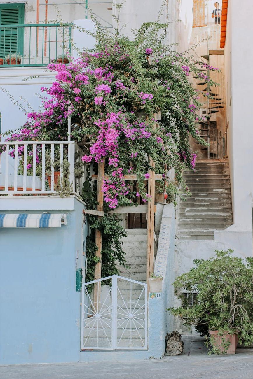 Orto sul balcone fiorente